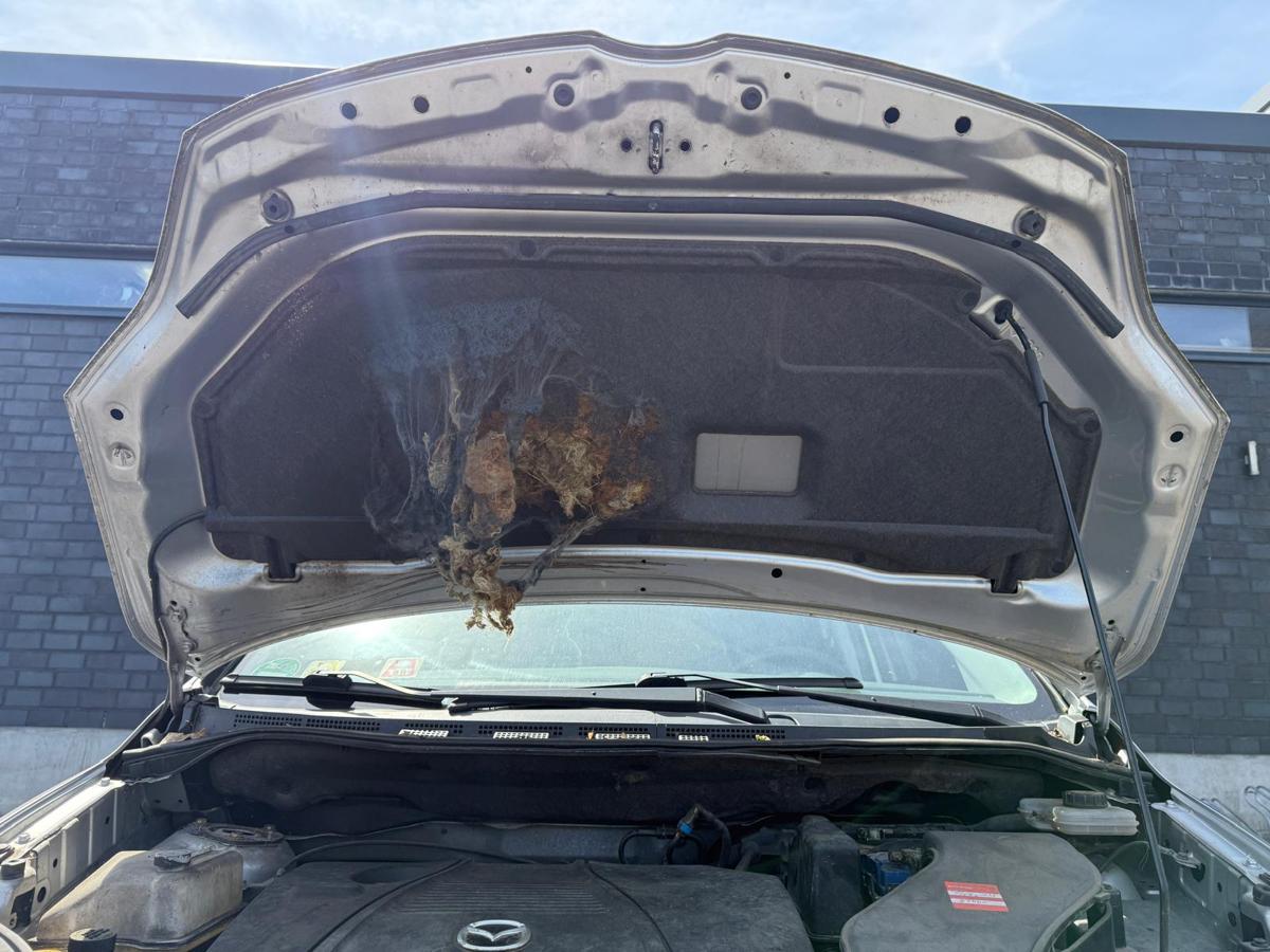 Mazda 5 CR original Motorhaube 22V Satinsilber BJ07